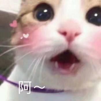 盯的表情包,揭秘网络社交中的“眼神杀”魅力