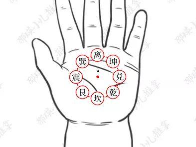 左手内八卦发烧,揭秘神秘养生秘术